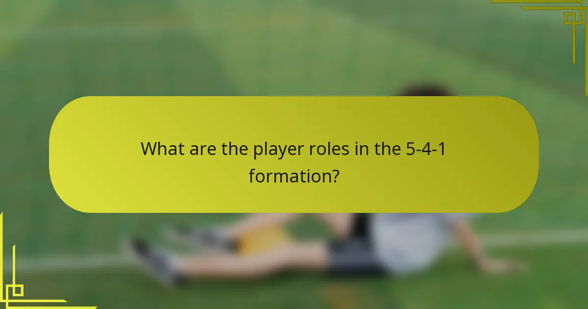 What are the player roles in the 5-4-1 formation?